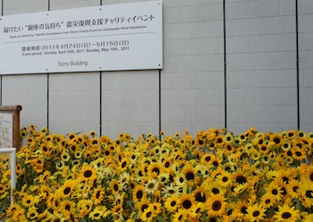 DSC00120.jpg
