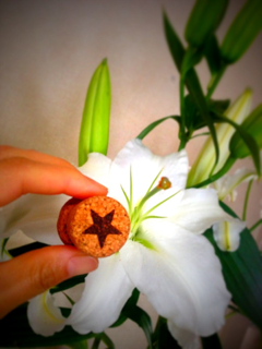 image-20130727213113.png